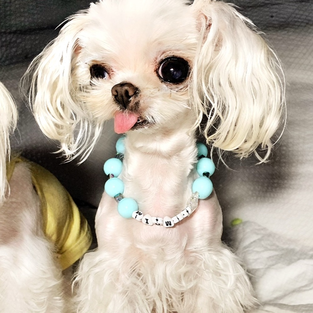 Personalized pet necklace